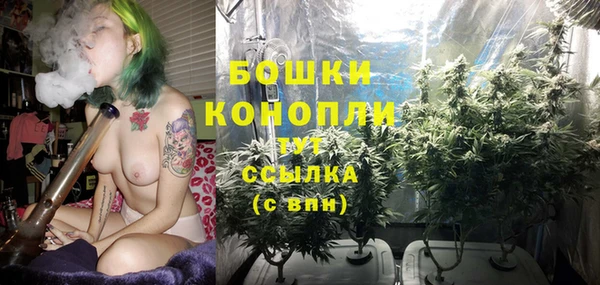 не бодяженный Протвино