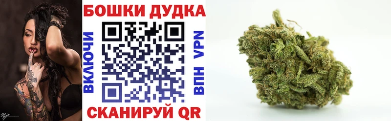 купить наркотик  Усолье  ссылка на мегу ССЫЛКА  Бошки марихуана Bruce Banner 